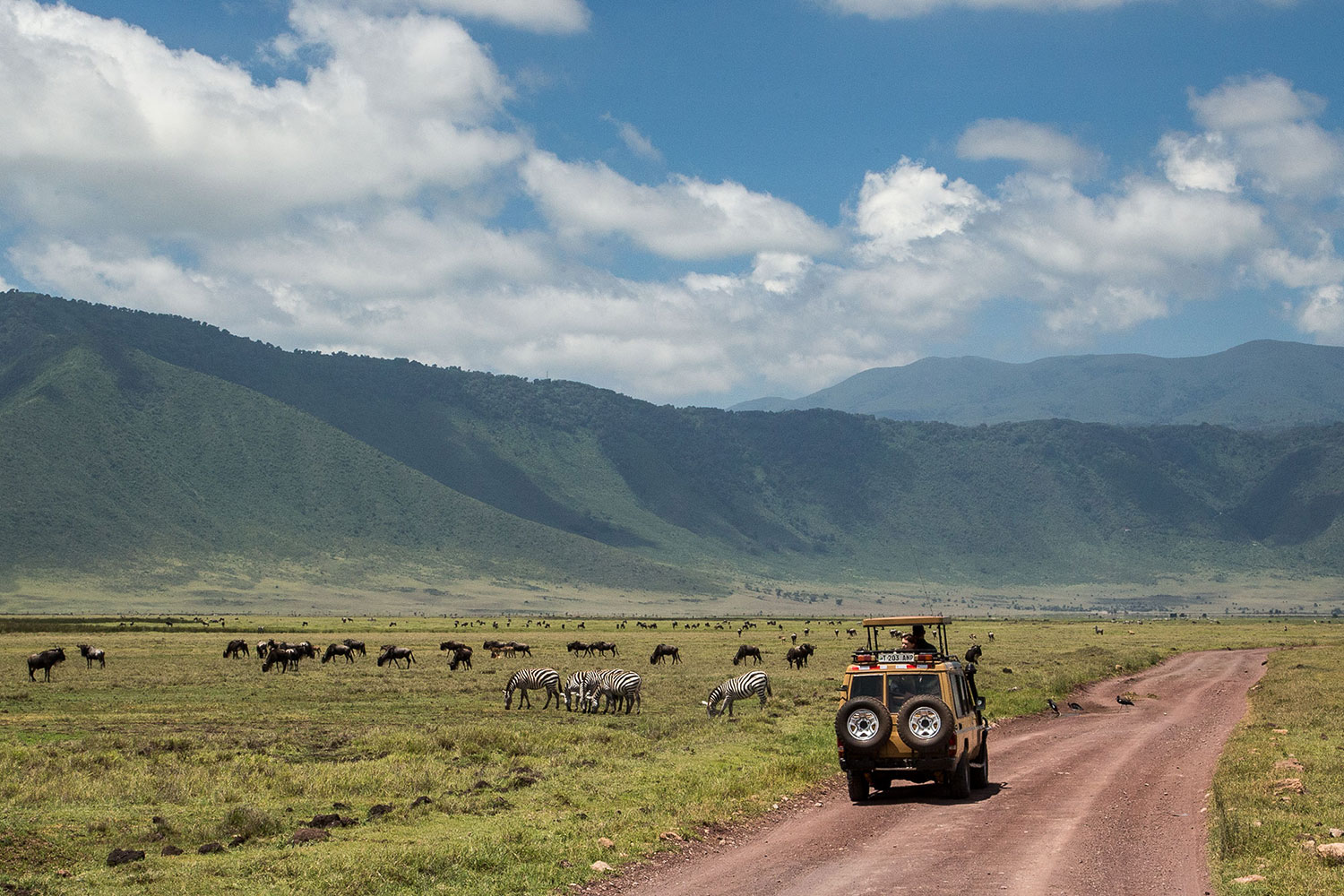 3 Days Tanzania Safaris to Lake Manyara, Ngorongoro Crater and Tarangire