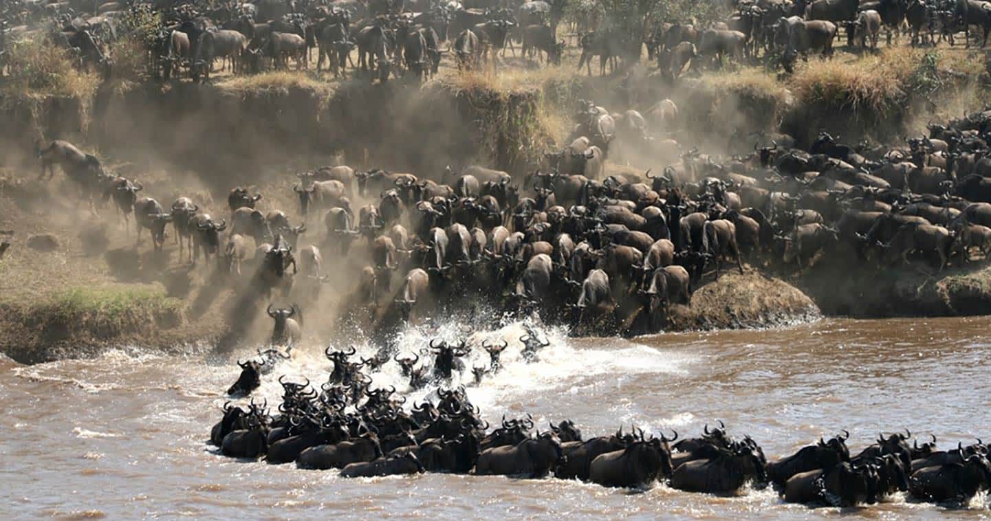 A Guide to Northern Tanzania & The Great Migration