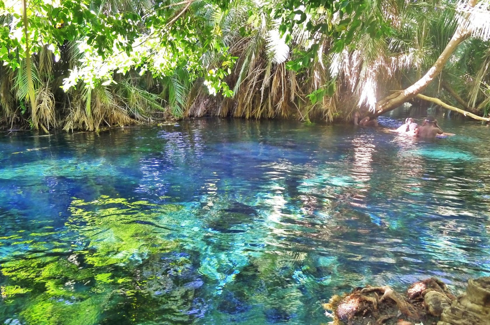 Day Trip to Kikuletwa Hotspring (Majimoto) - Boma Ng`ombe