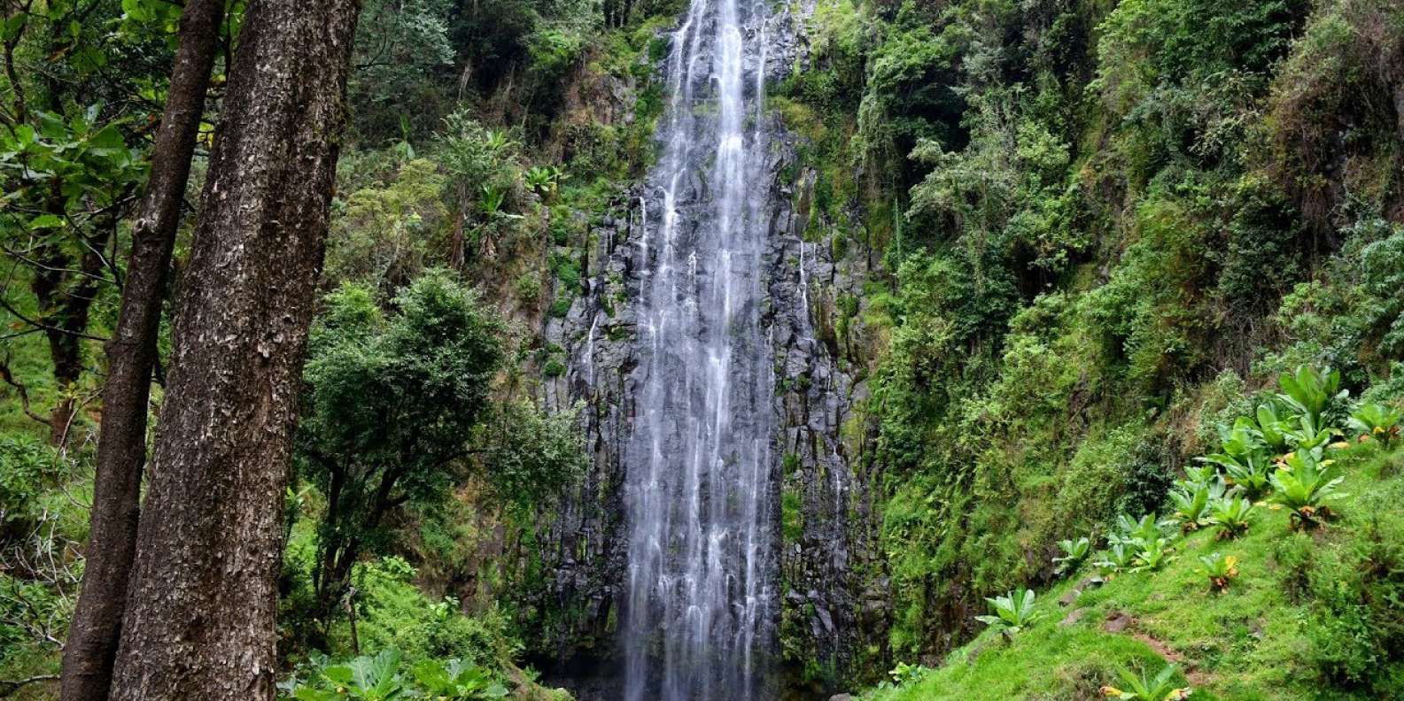 Materuni Waterfalls with Coffee tour